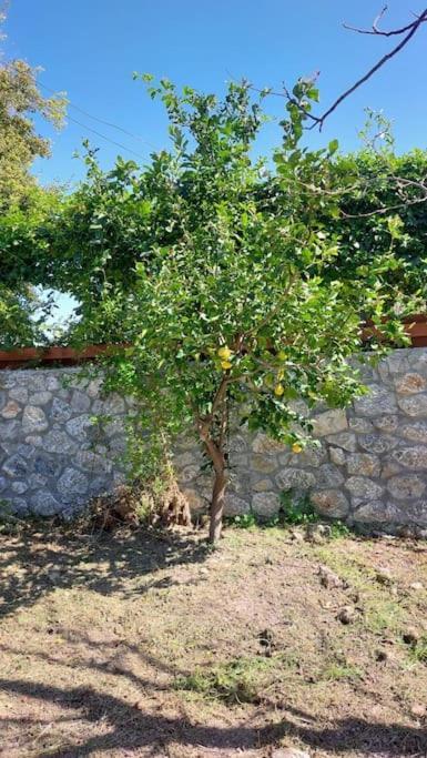 Girne, Lapta'Da Deniz Ve Dag Manzarali Exteriér fotografie